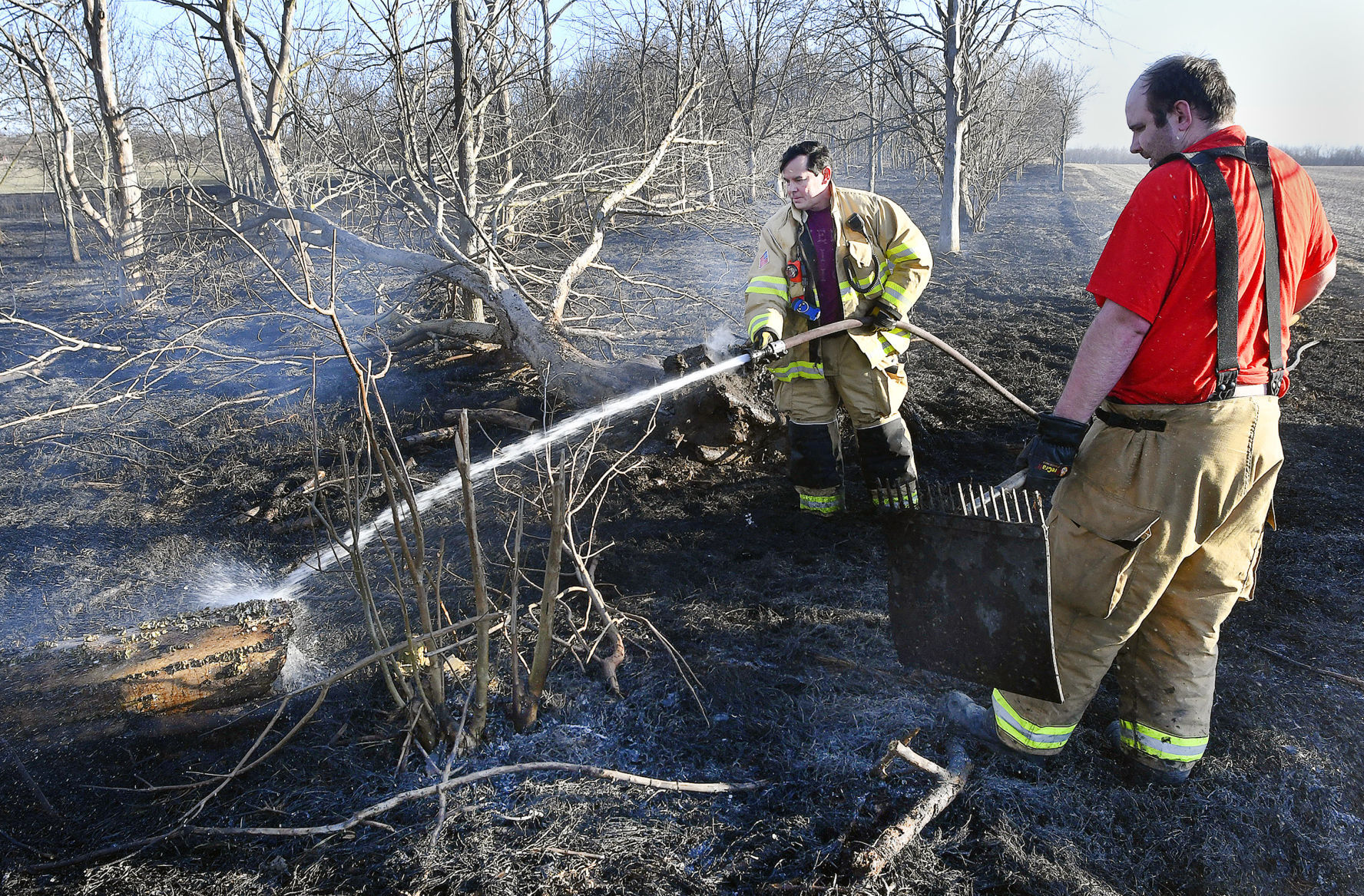 FIRE DAMAGES FOREST PRESERVE